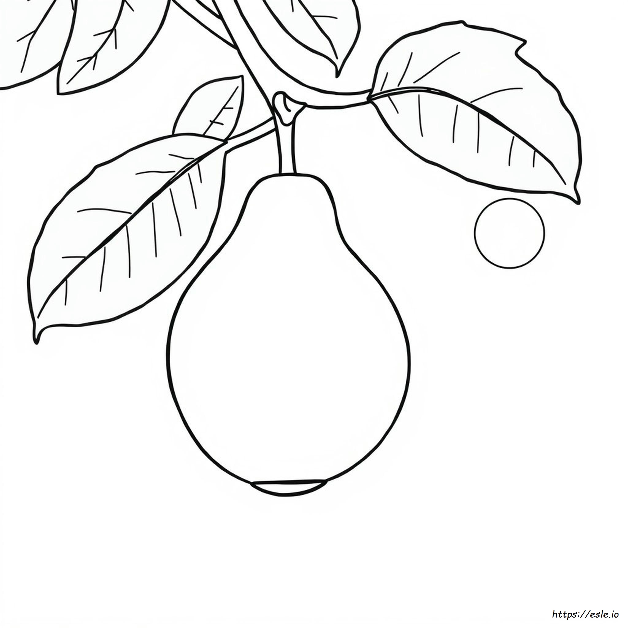 Dibujo Para Colorear De Guayaba
