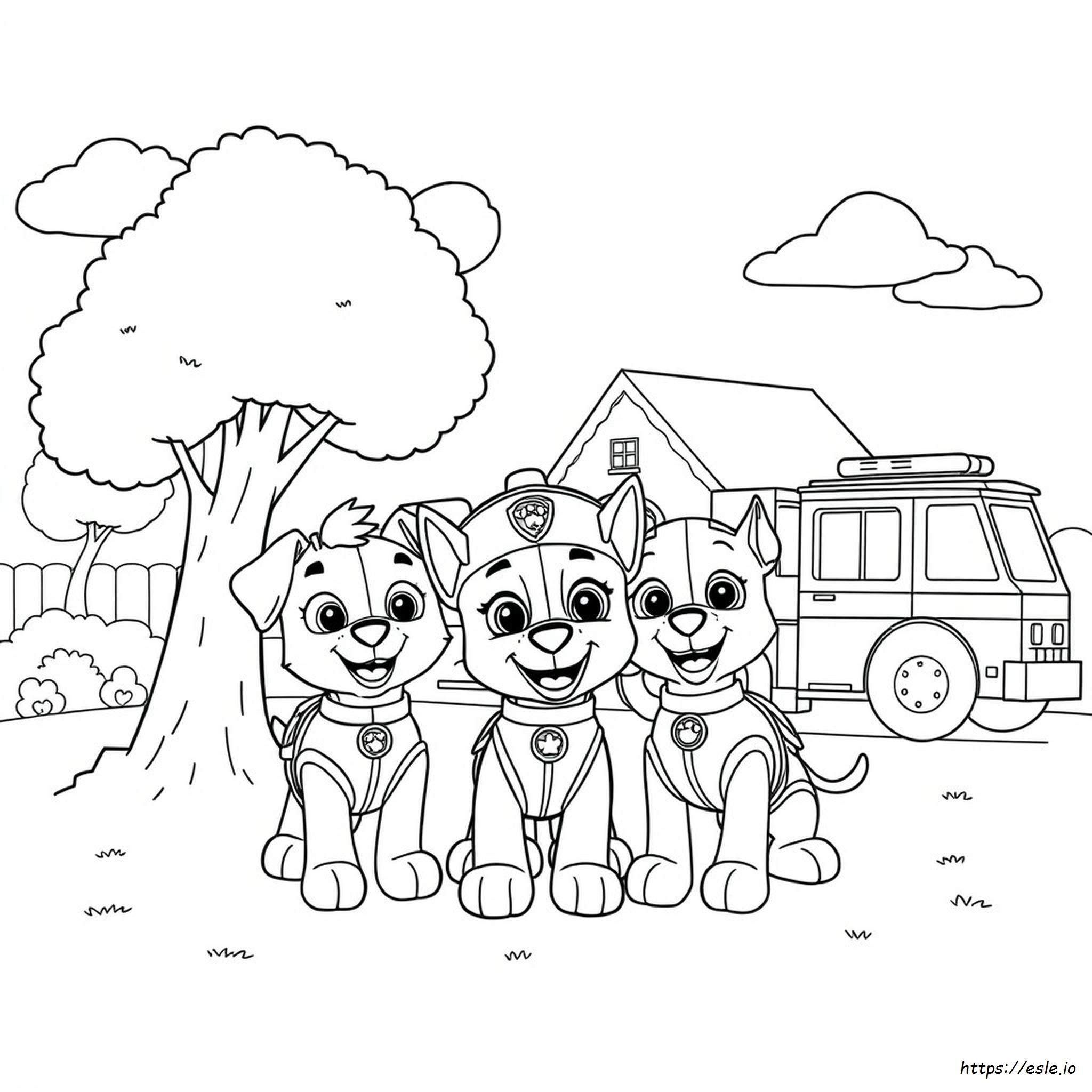 Paw Patrol Disegni Da Colorare