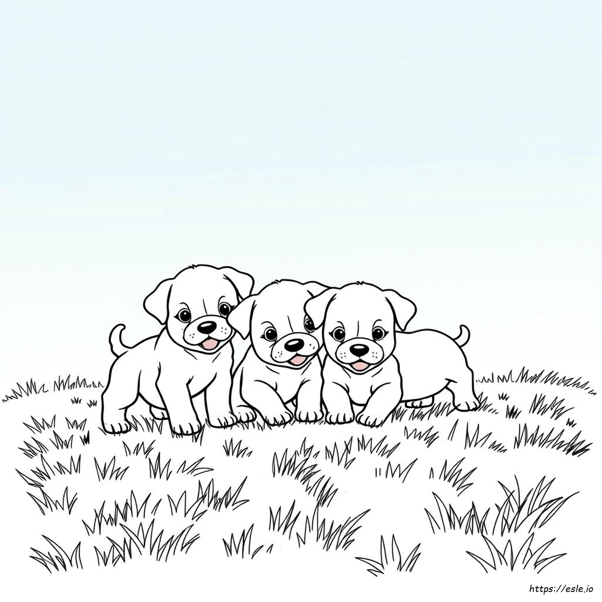 Páginas Para Colorear De Cachorros Lindos Realistas