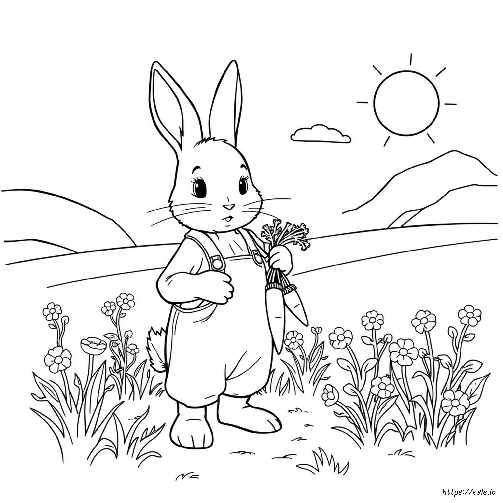 Free Printable Peter Rabbit Coloring Pages