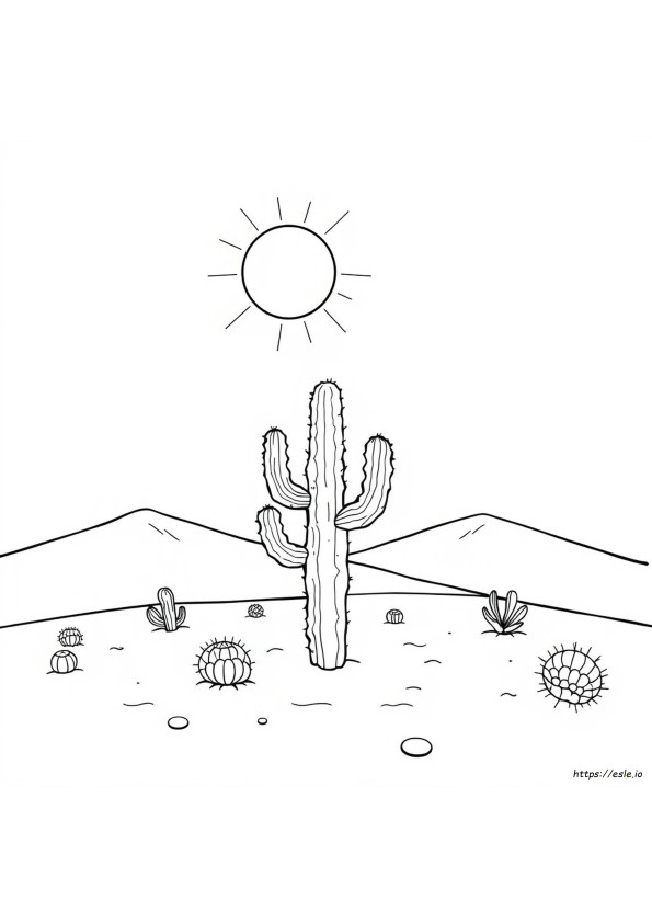 Arizona Värityskuva