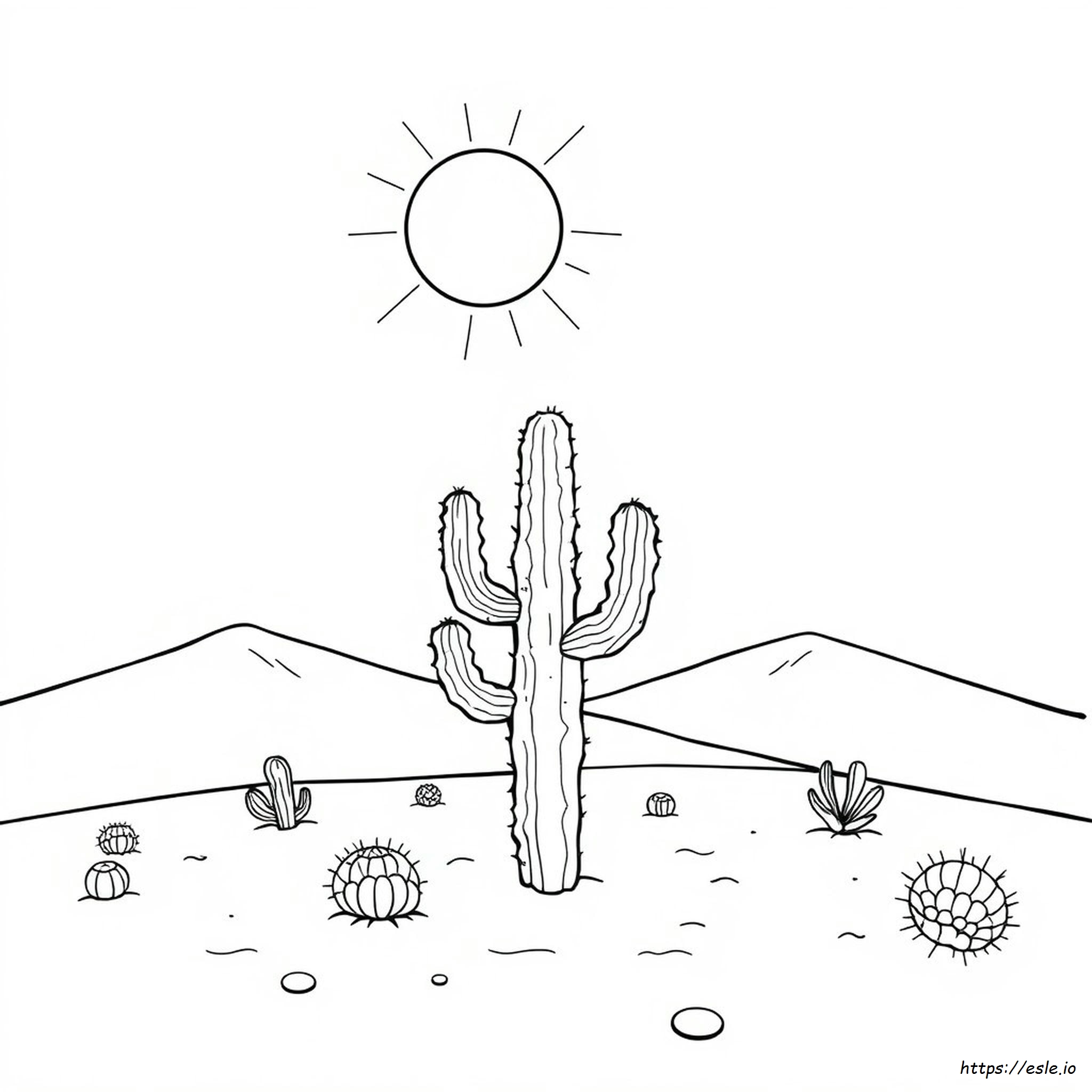 Arizona Coloring Sheet