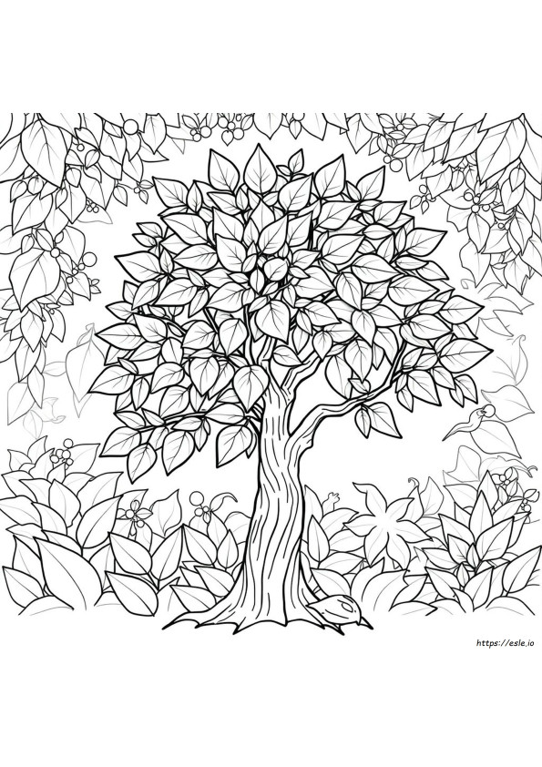 Coloriages Détaillés