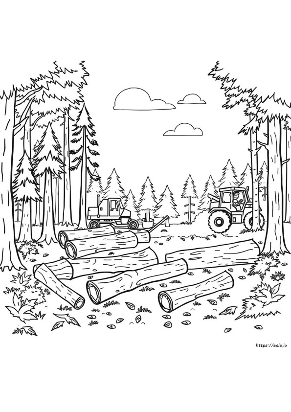 Metsäkato Värityskuvat