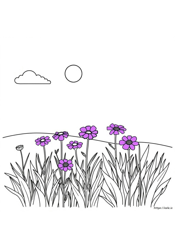 Purppura Värityskuva