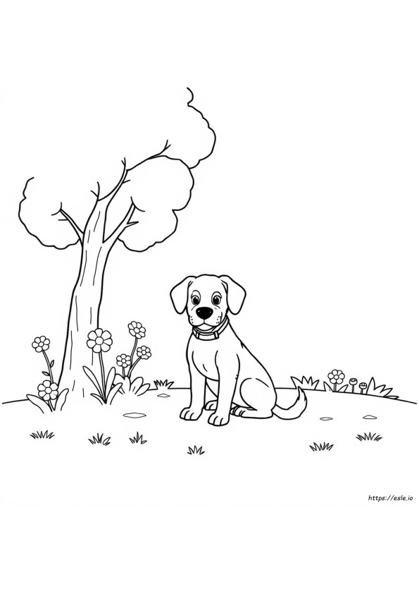 Anjing Untuk Mewarnai