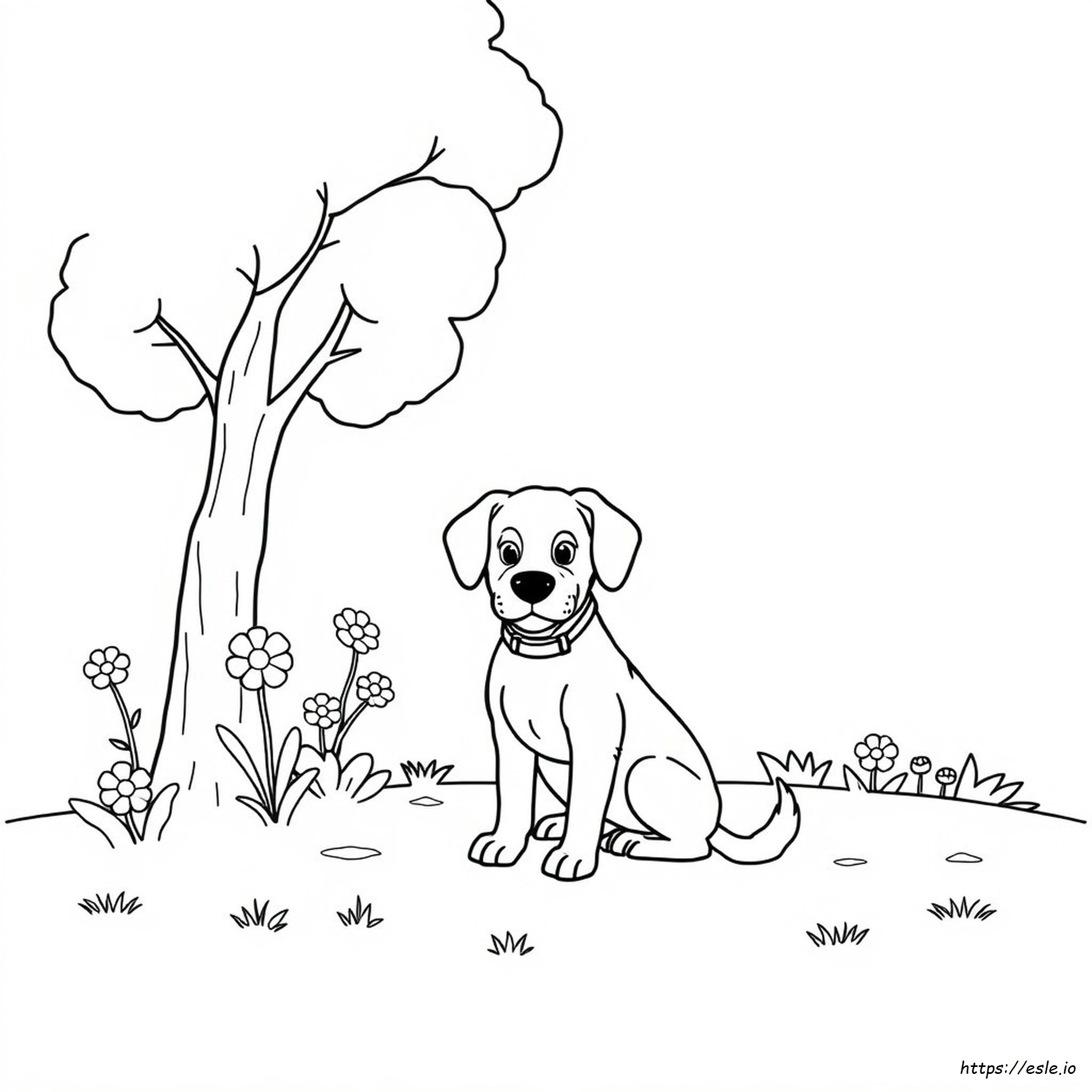Cane Da Colorare