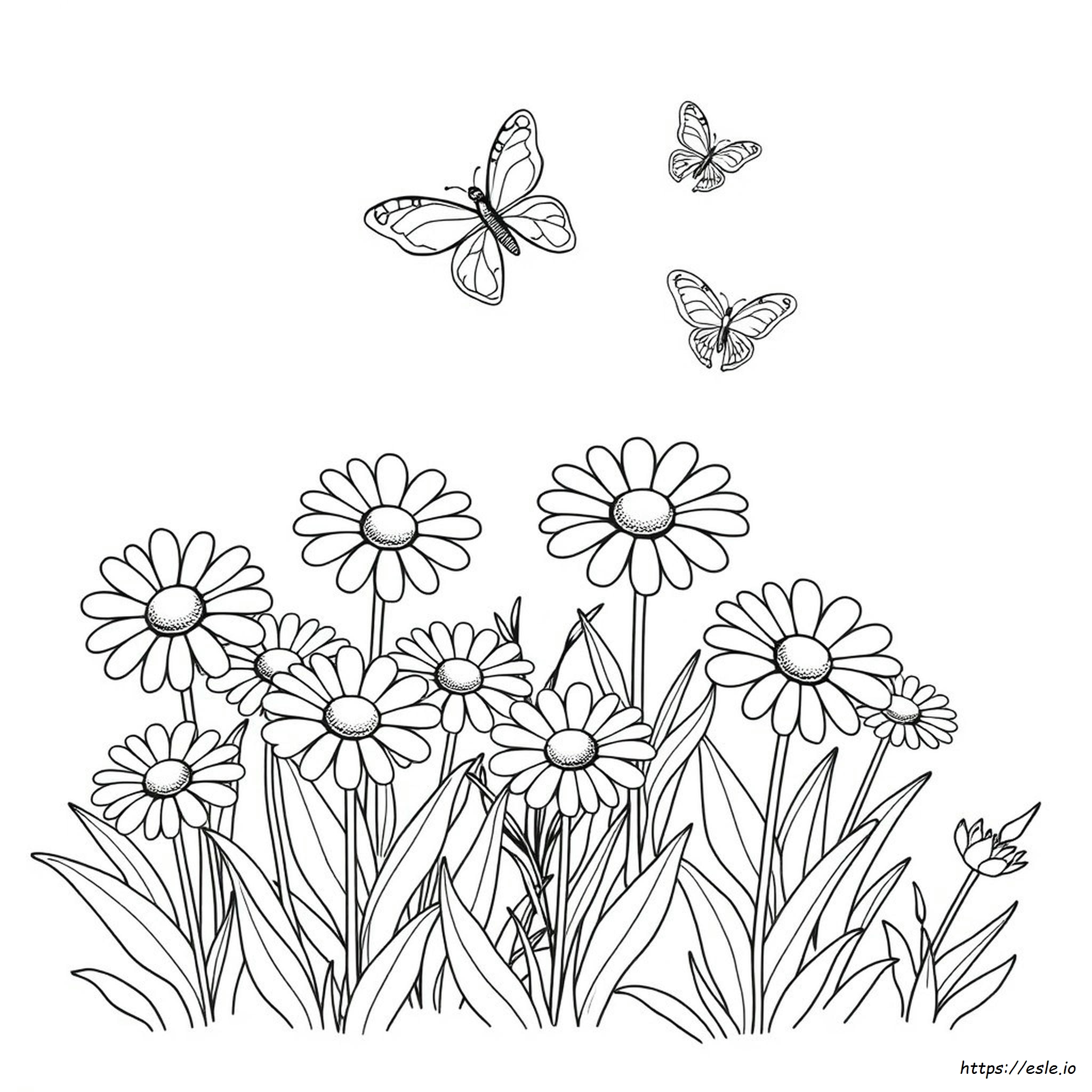 Printable Daisy Coloring Pages