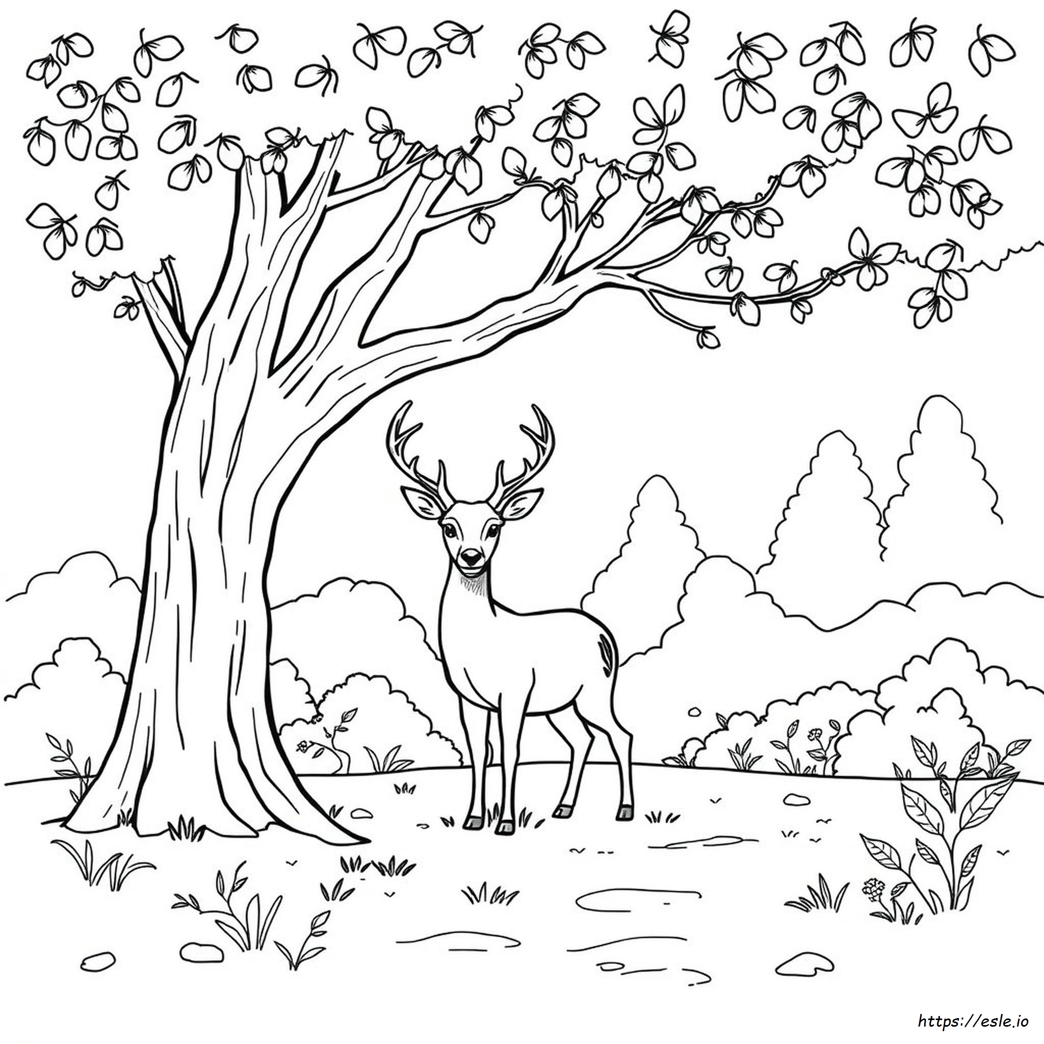 Printable Woodland Coloring Pages