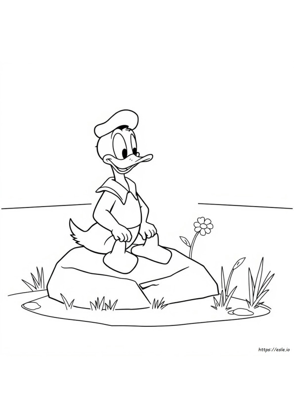 Donald Duck Pictures To Color