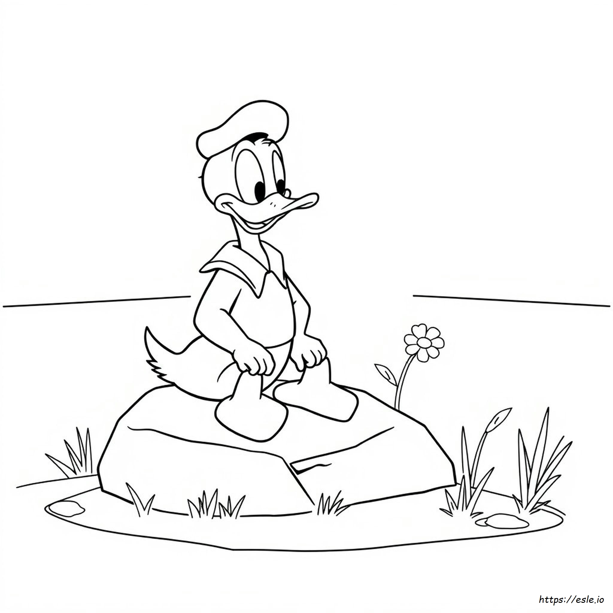 Donald Duck Pictures To Color