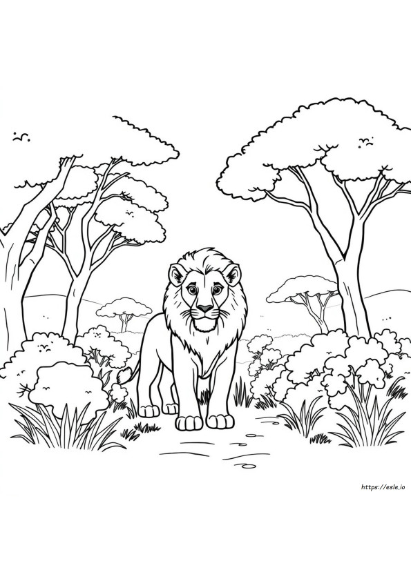 Gambar Mewarnai Singa Asli