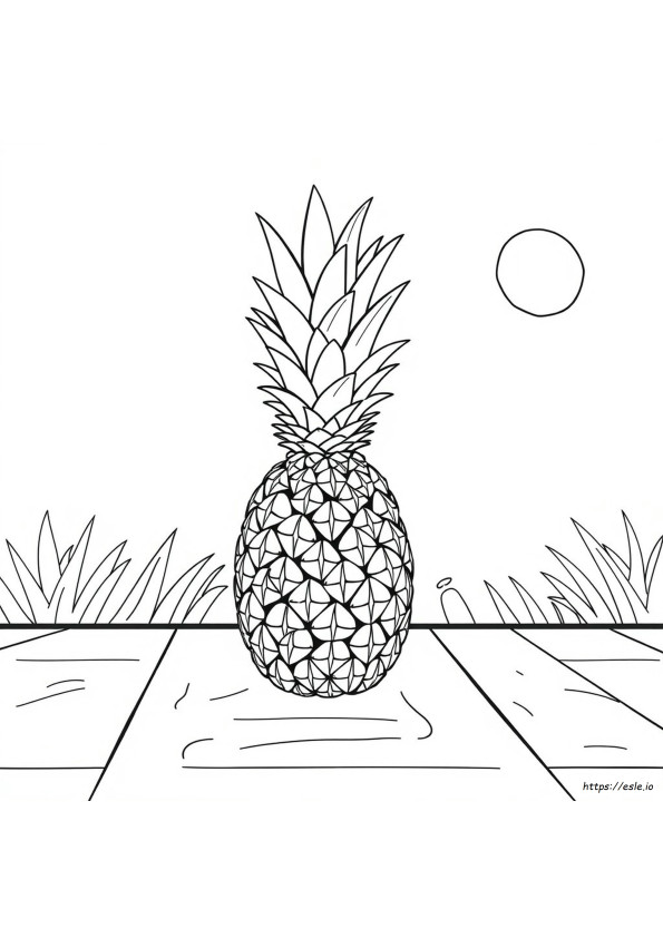 Pineapple Colouring In