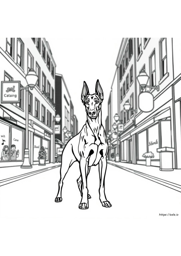 Gambar Mewarnai Doberman Realistis