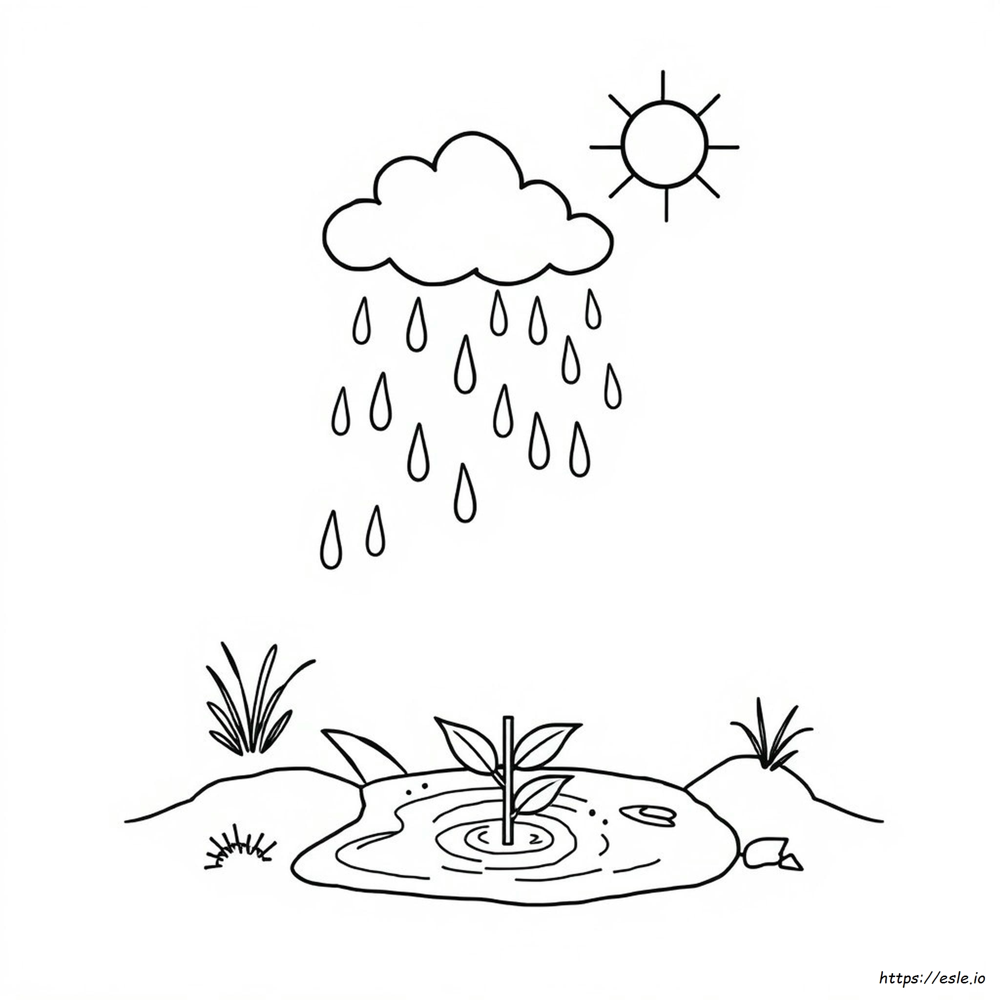 Printable Water Cycle Coloring Page