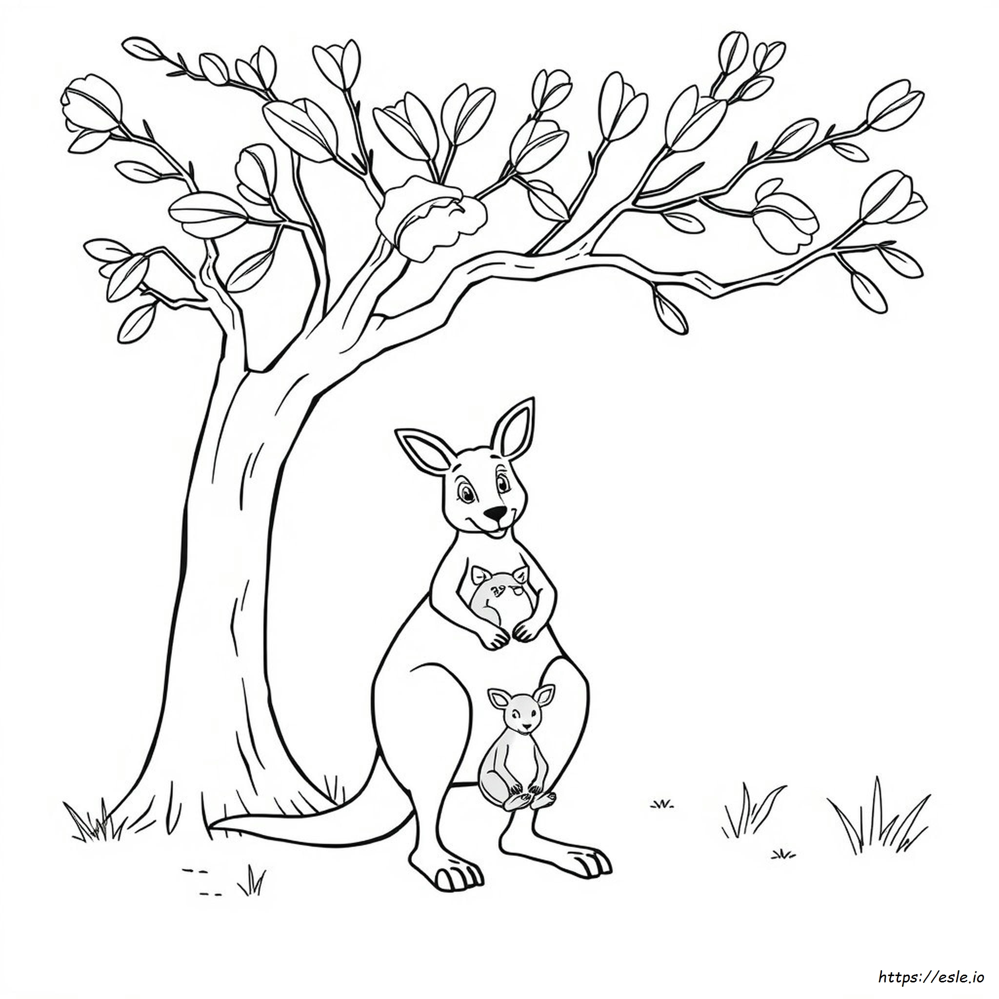 Australian Animal Colouring In