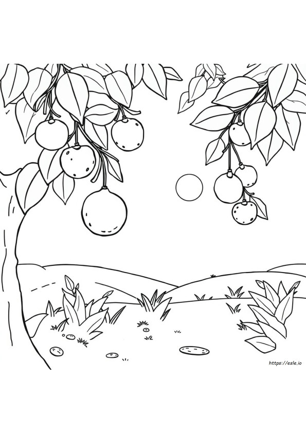 Cute Free Printable Fruit Coloring Pages