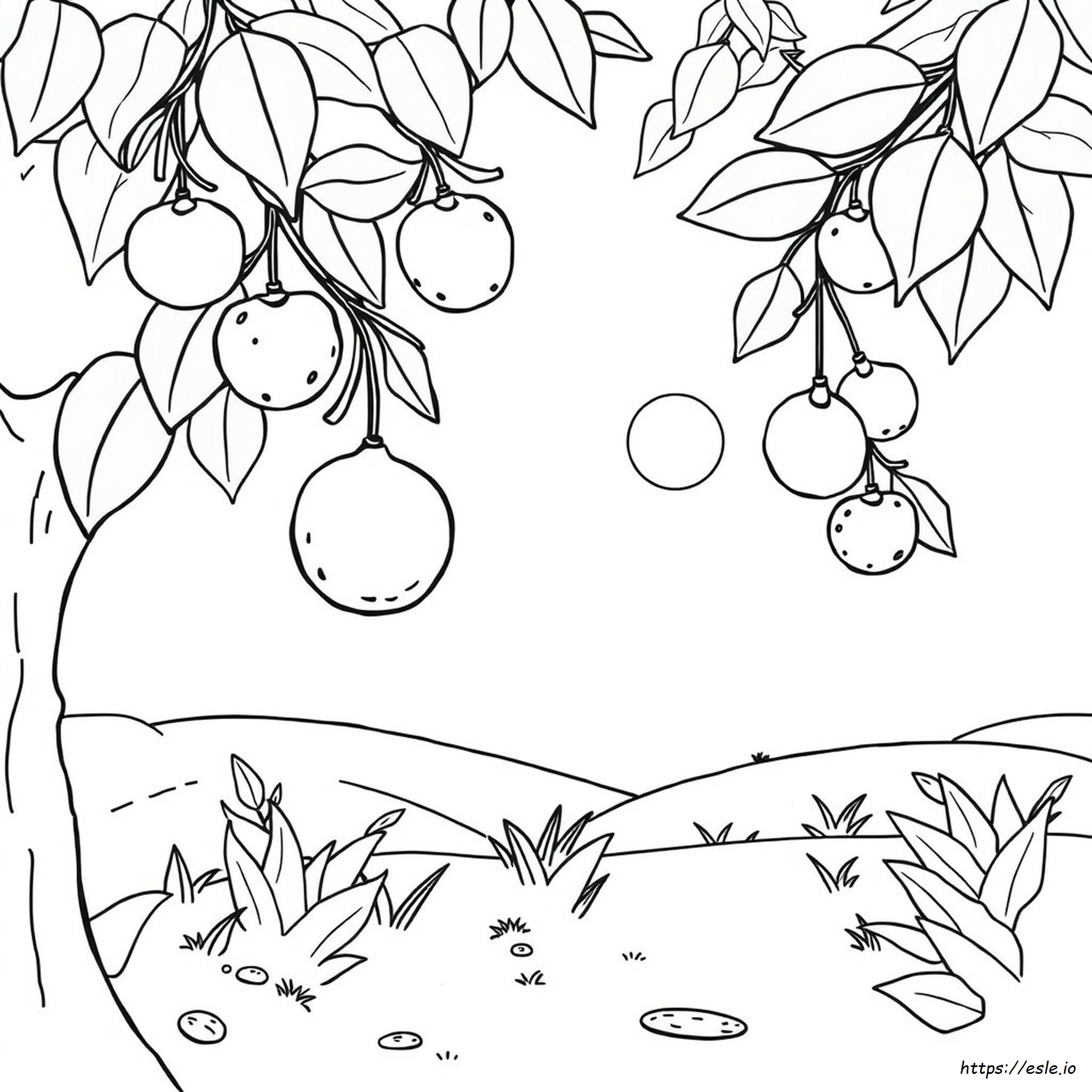 Disegni Di Frutta Carini Da Colorare E Stampare Gratis
