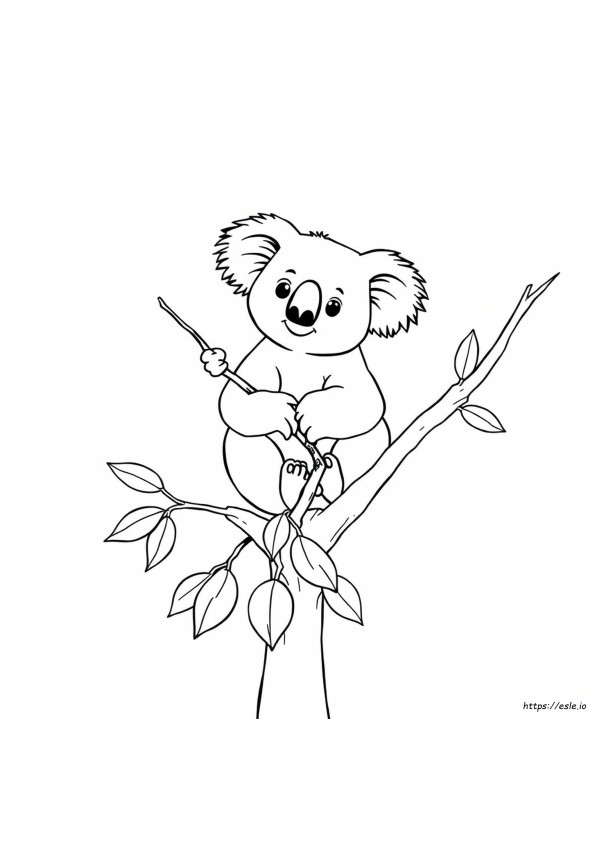 Koala Boyama Sayfaları