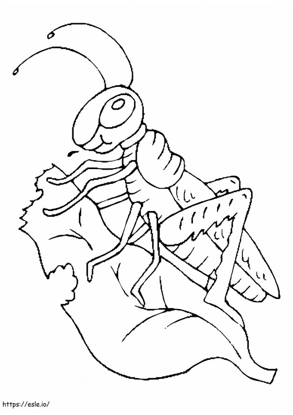 Grasshopper Eating Grass coloring page