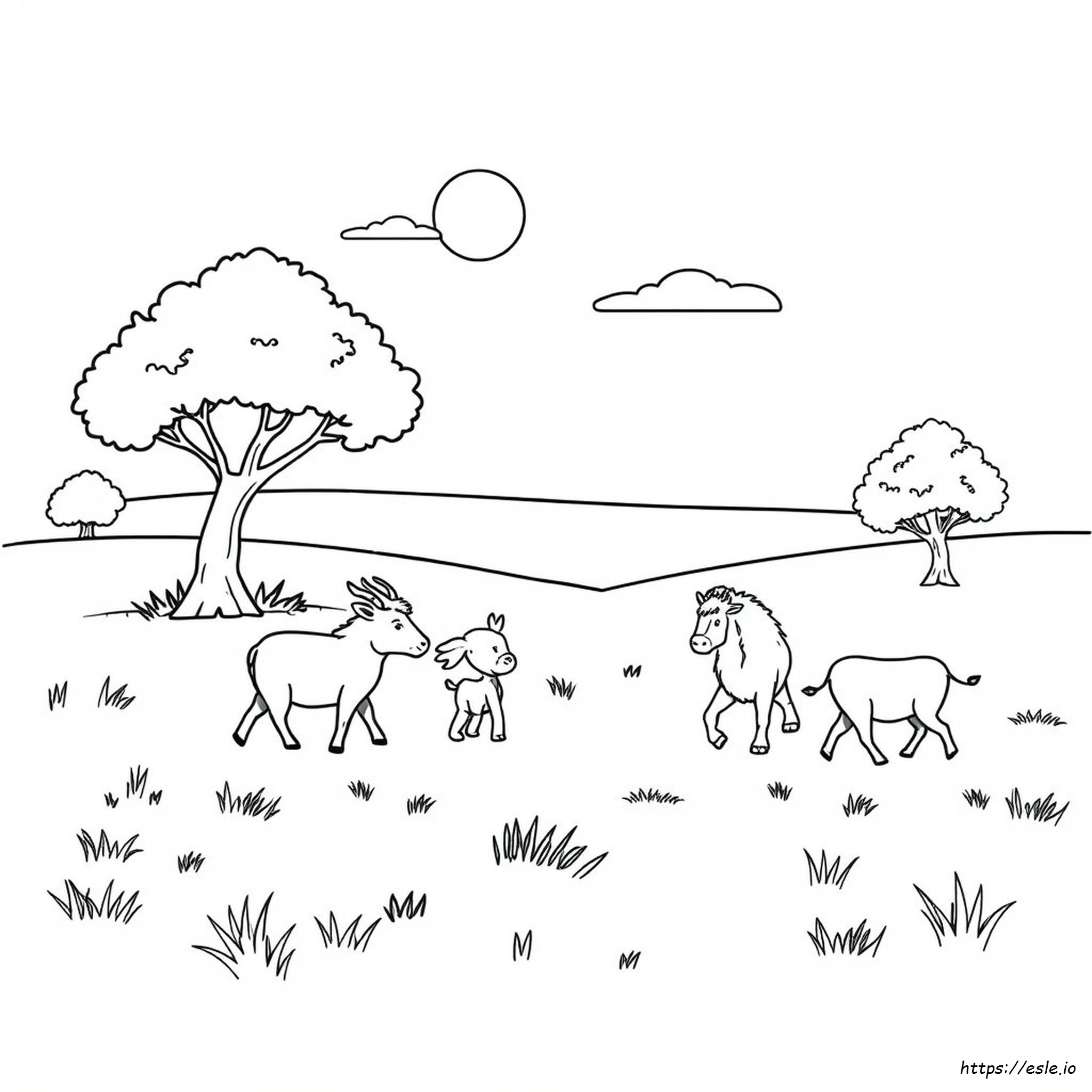 Disegni Di Animali Da Colorare Gratis