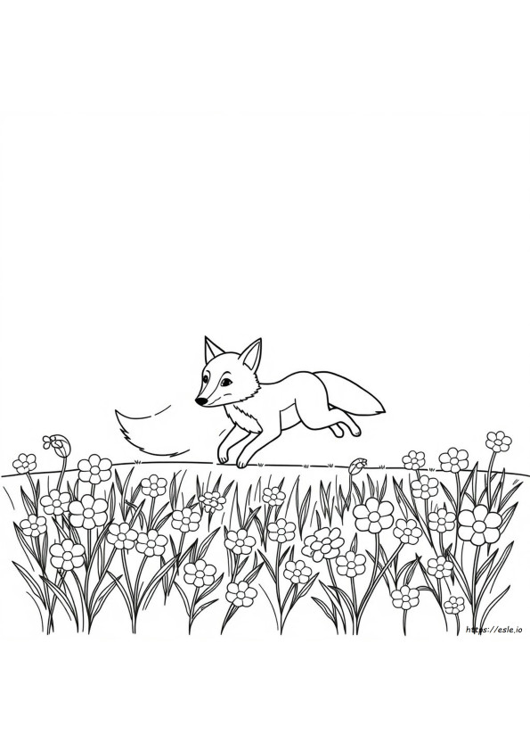 Raposa Para Colorir