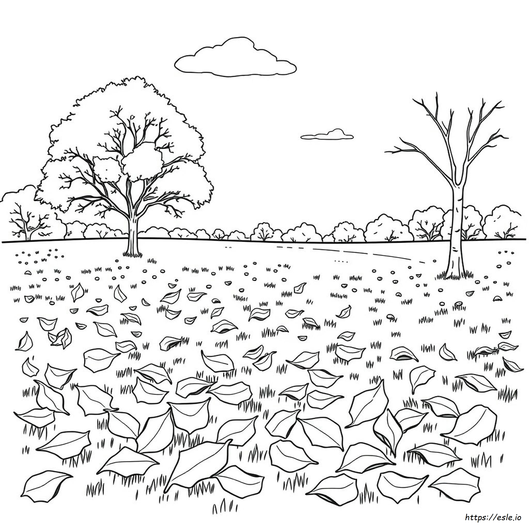 Foglia Di Pioppo Tremulo Da Colorare