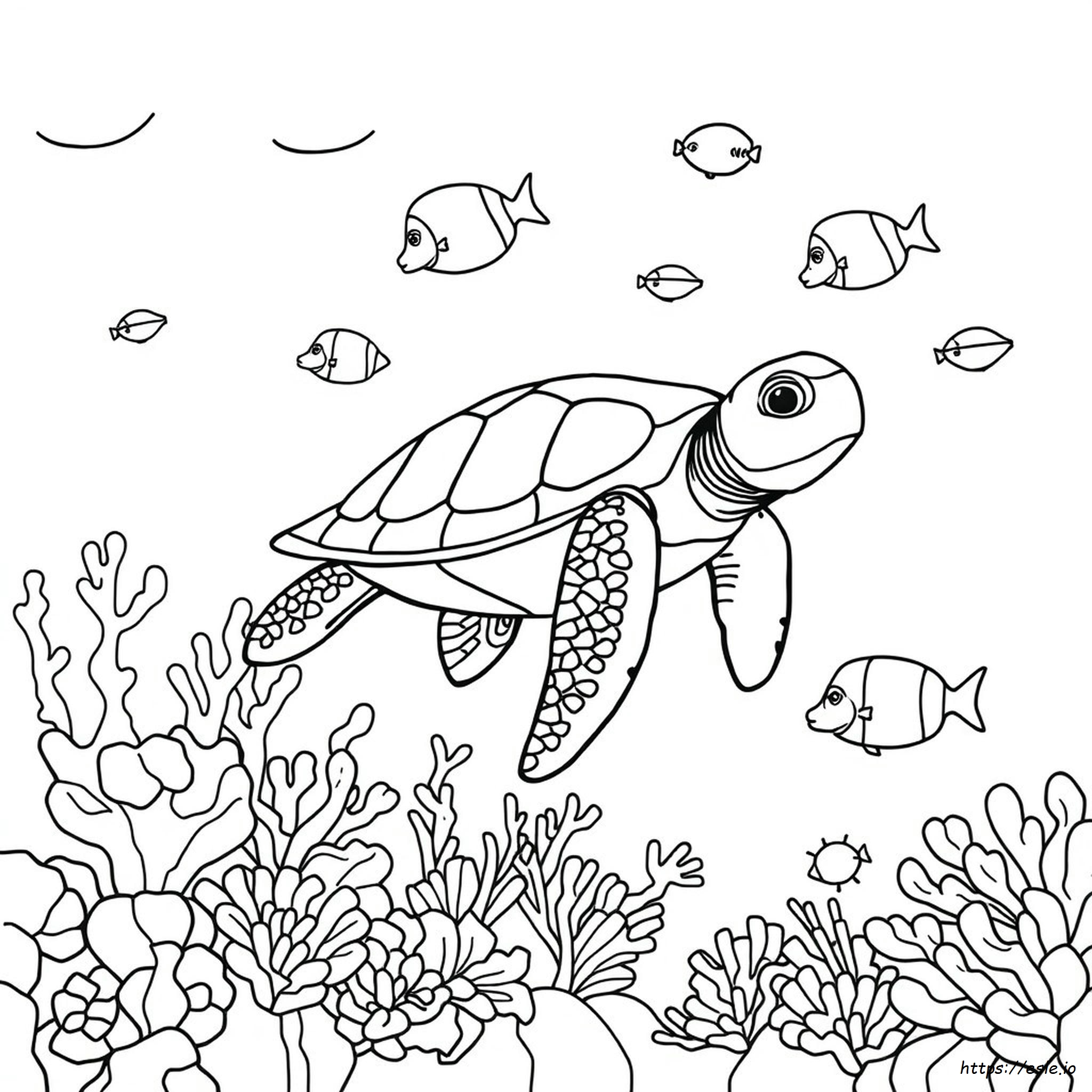 Sea Animals Colouring In