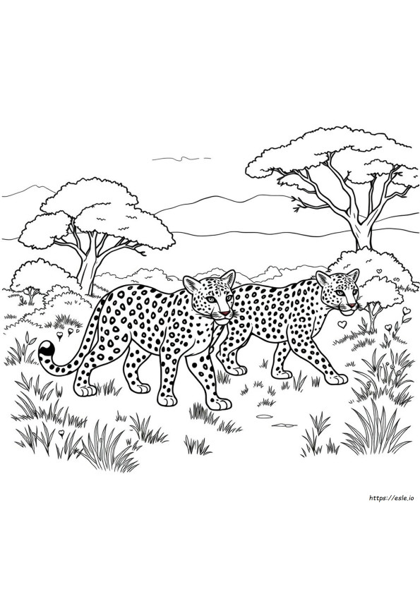 Leopard For Coloring