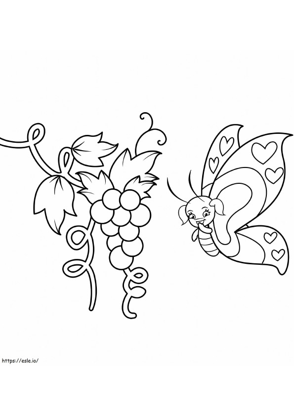 Grapes And Butterfly coloring page