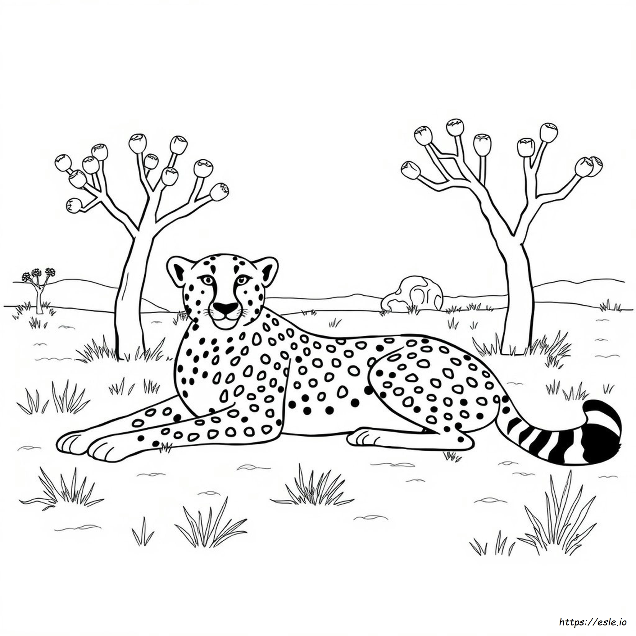 How To Color A Cheetah