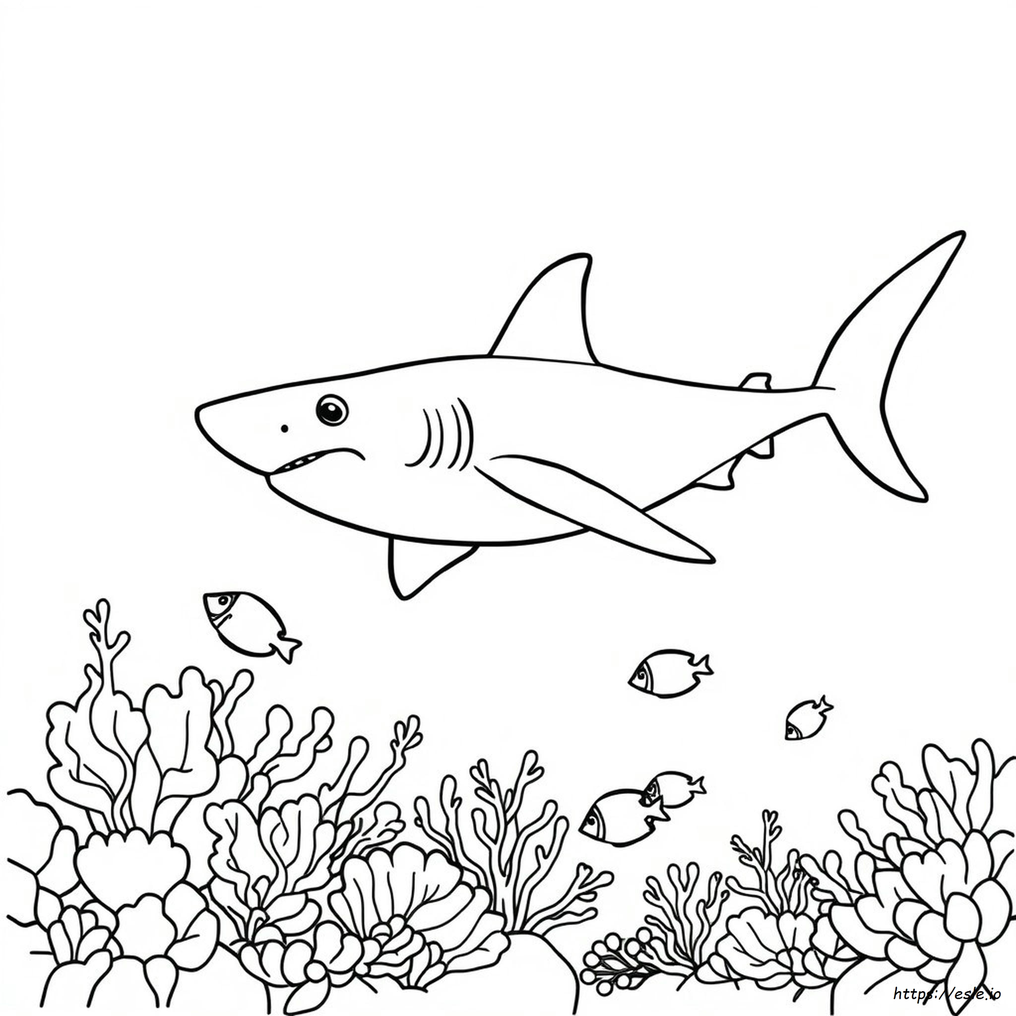 Shark Coloring Book Pages