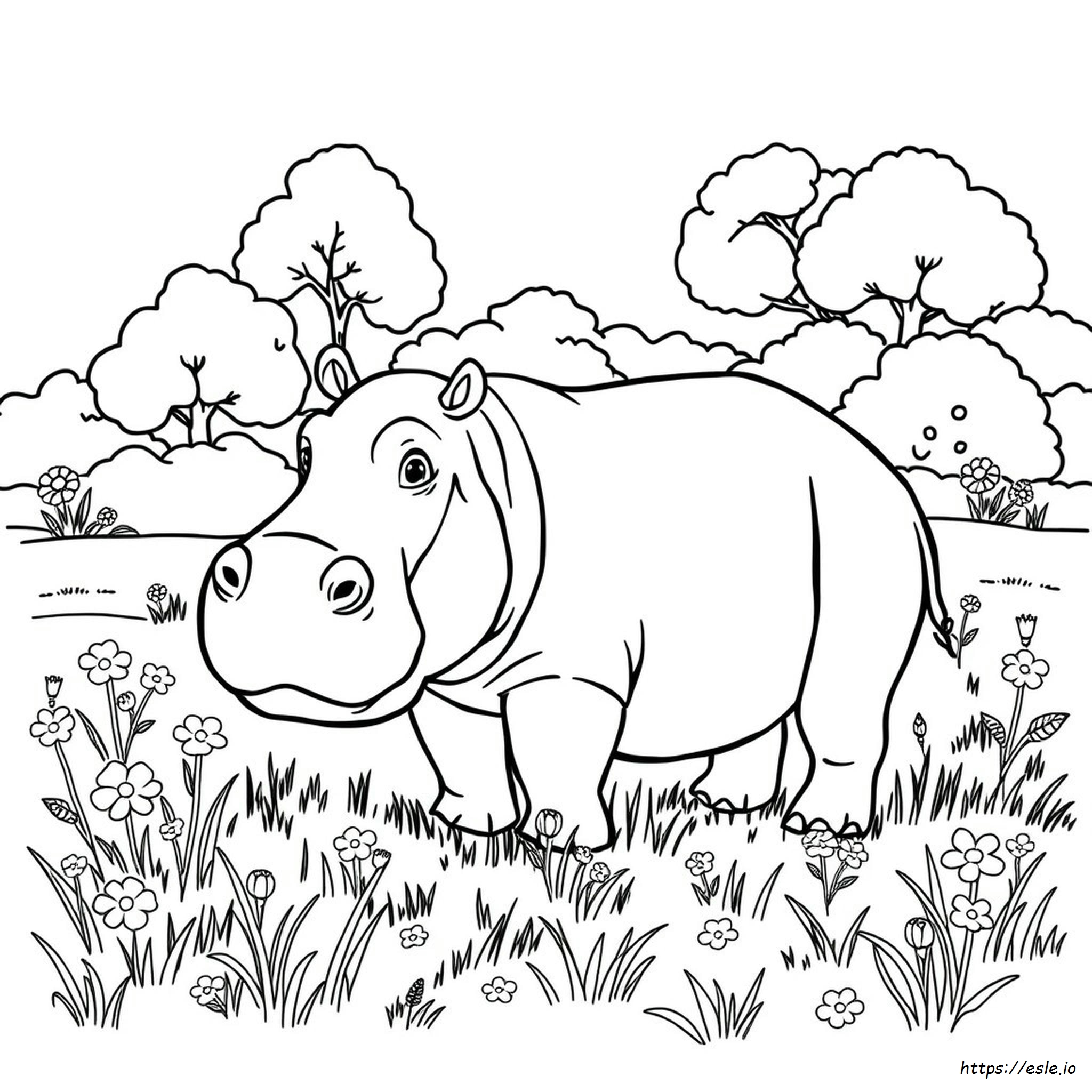 Easy Hippo Coloring Pages
