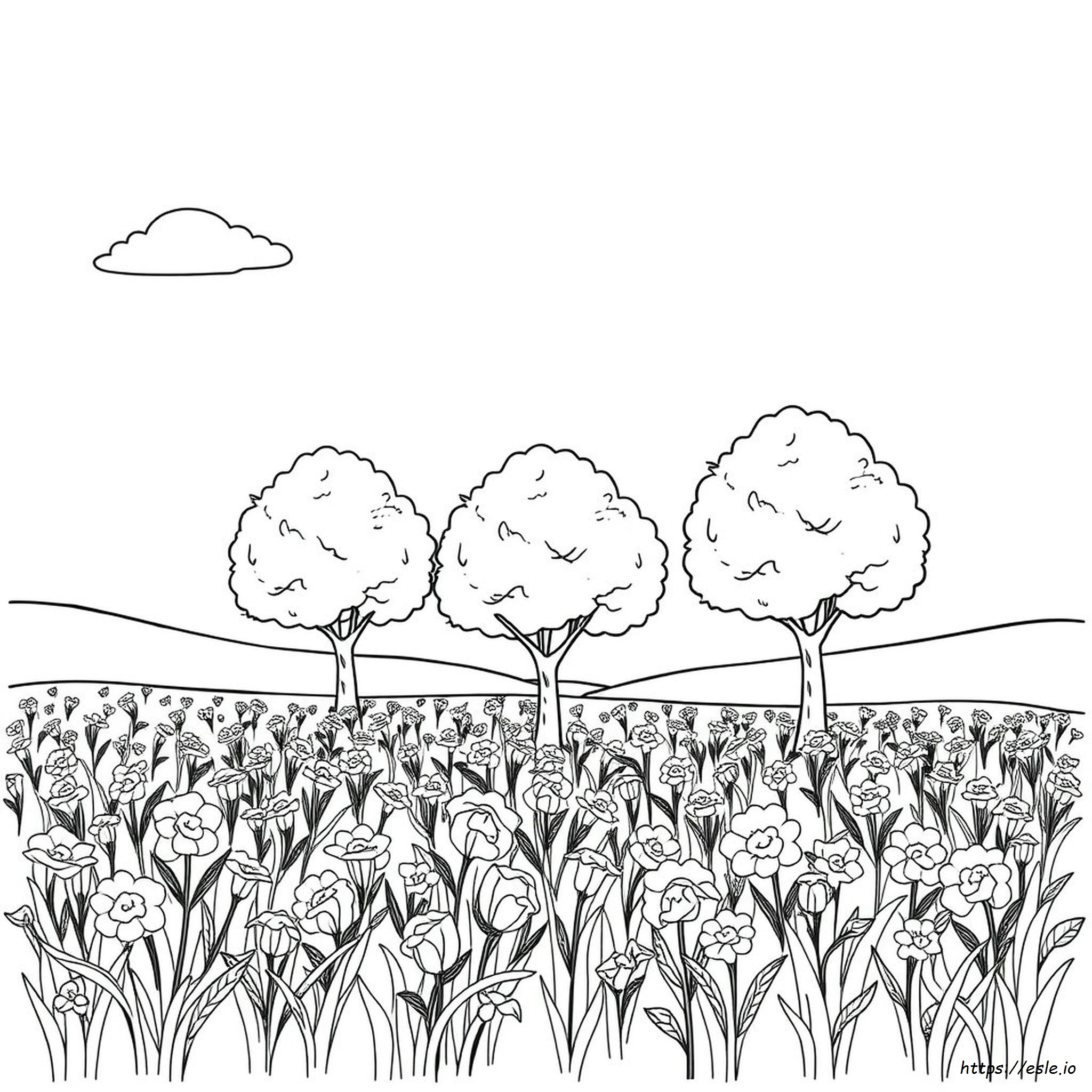 Plantas Para Colorear: Árboles Y Flores