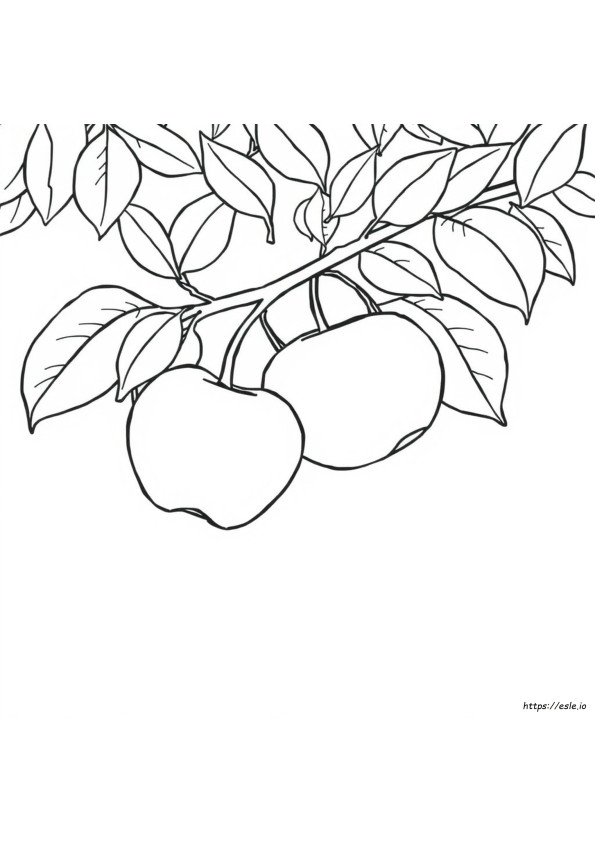 Apple Coloring Pages Pdf Free Download