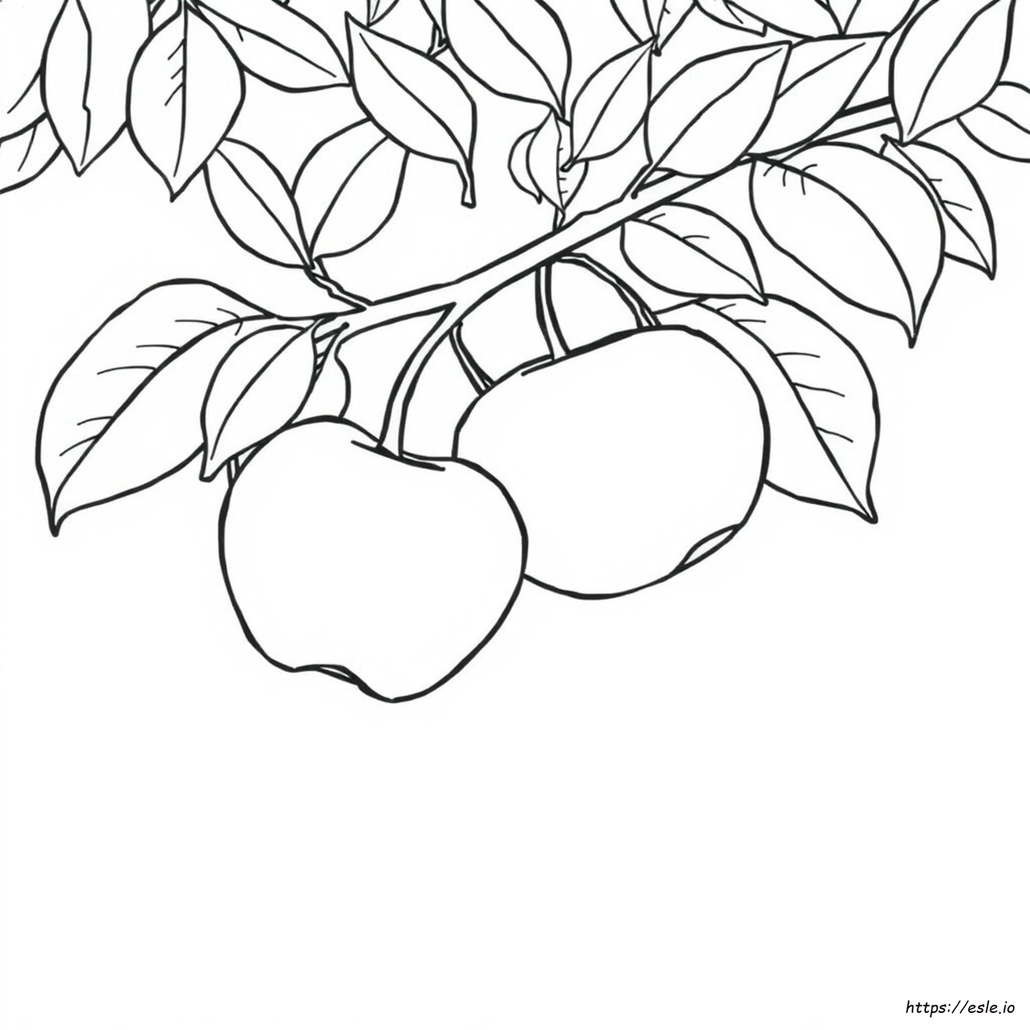 Apple Coloring Pages Pdf Free Download