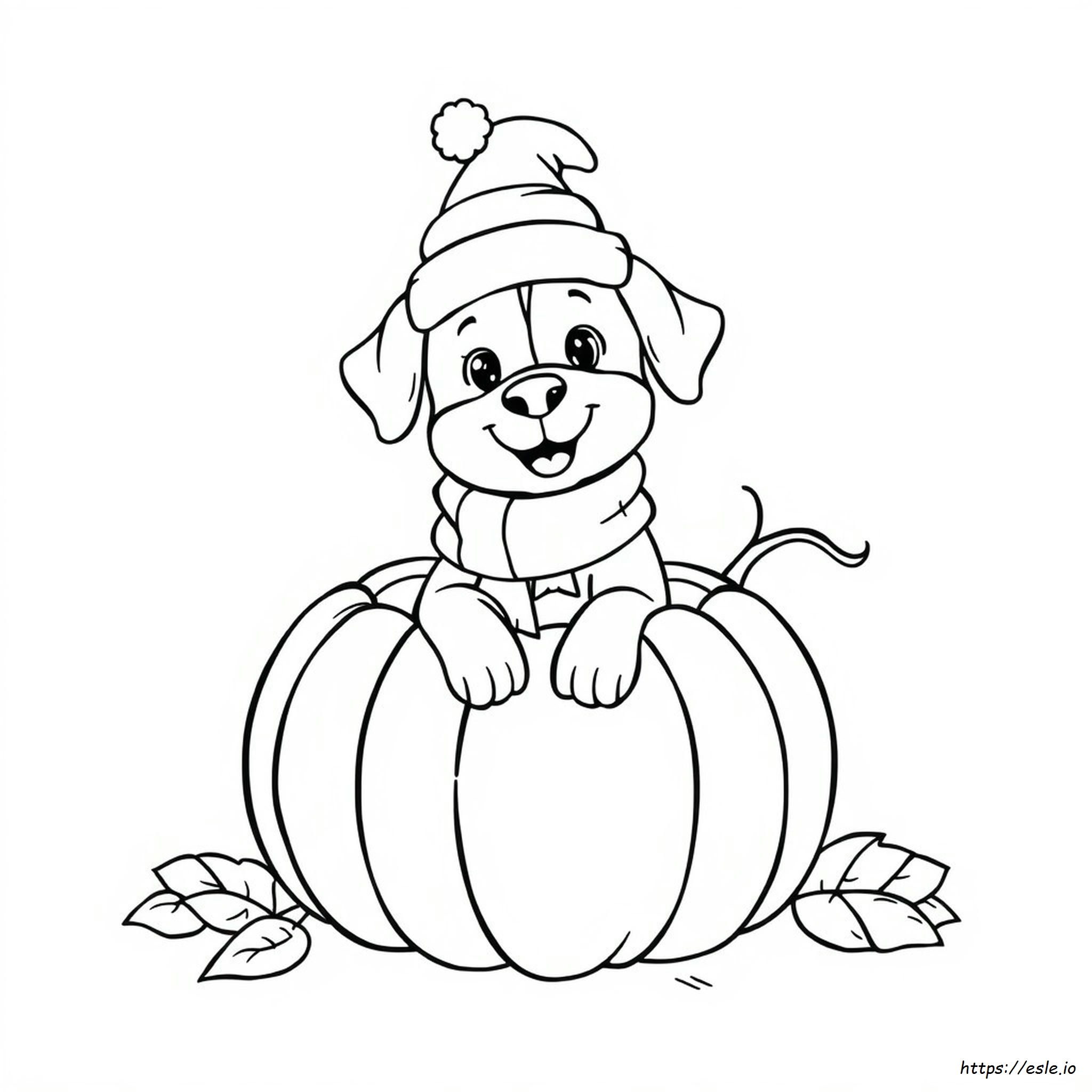 Cane In Una Zucca Da Colorare