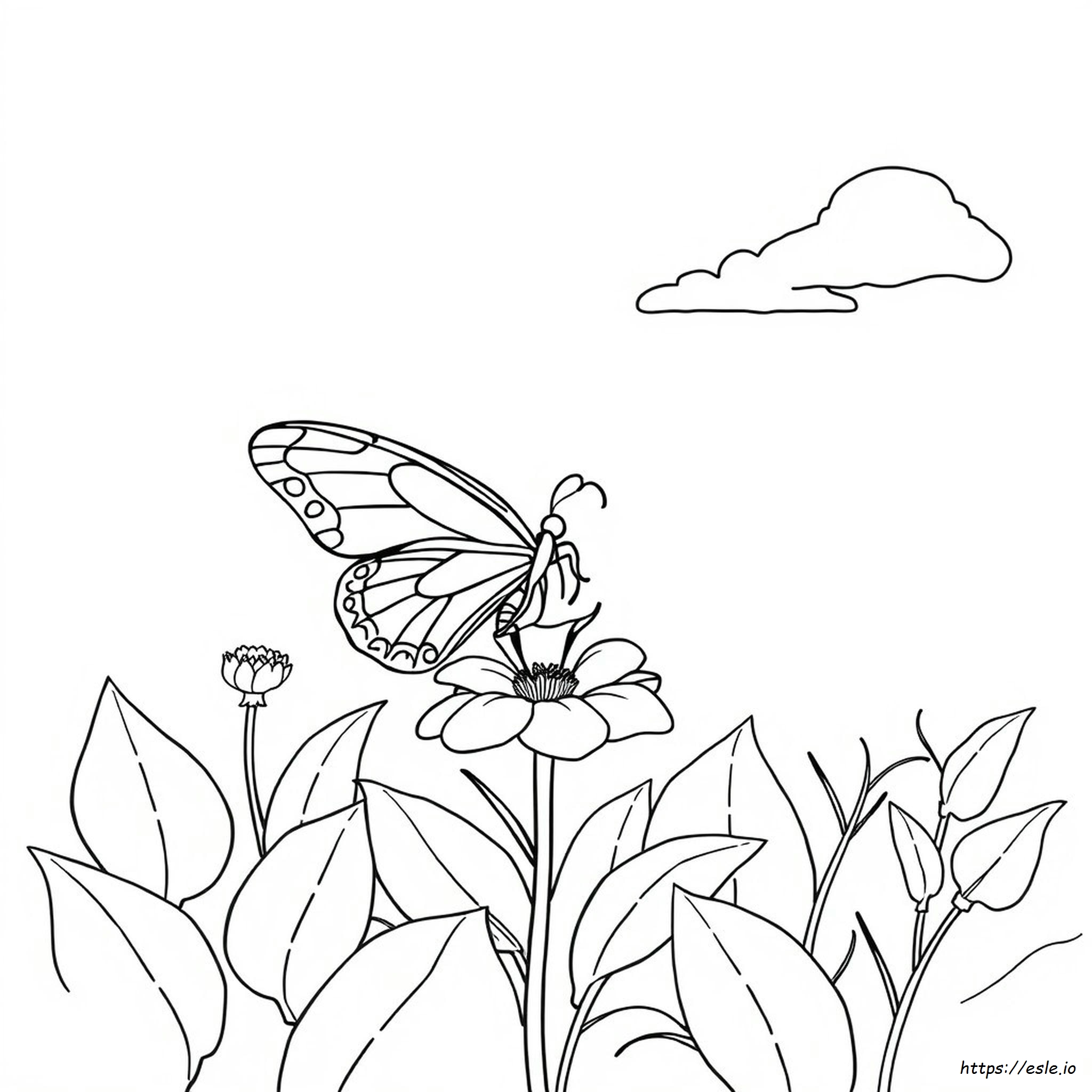 Disegno Di Farfalla Da Colorare