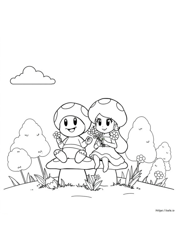 Coloriages Crapaud Et Toadette