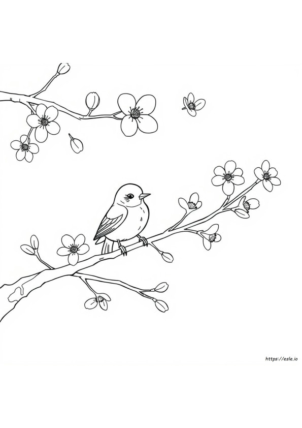 Burung Kecil Gambar Mewarnai