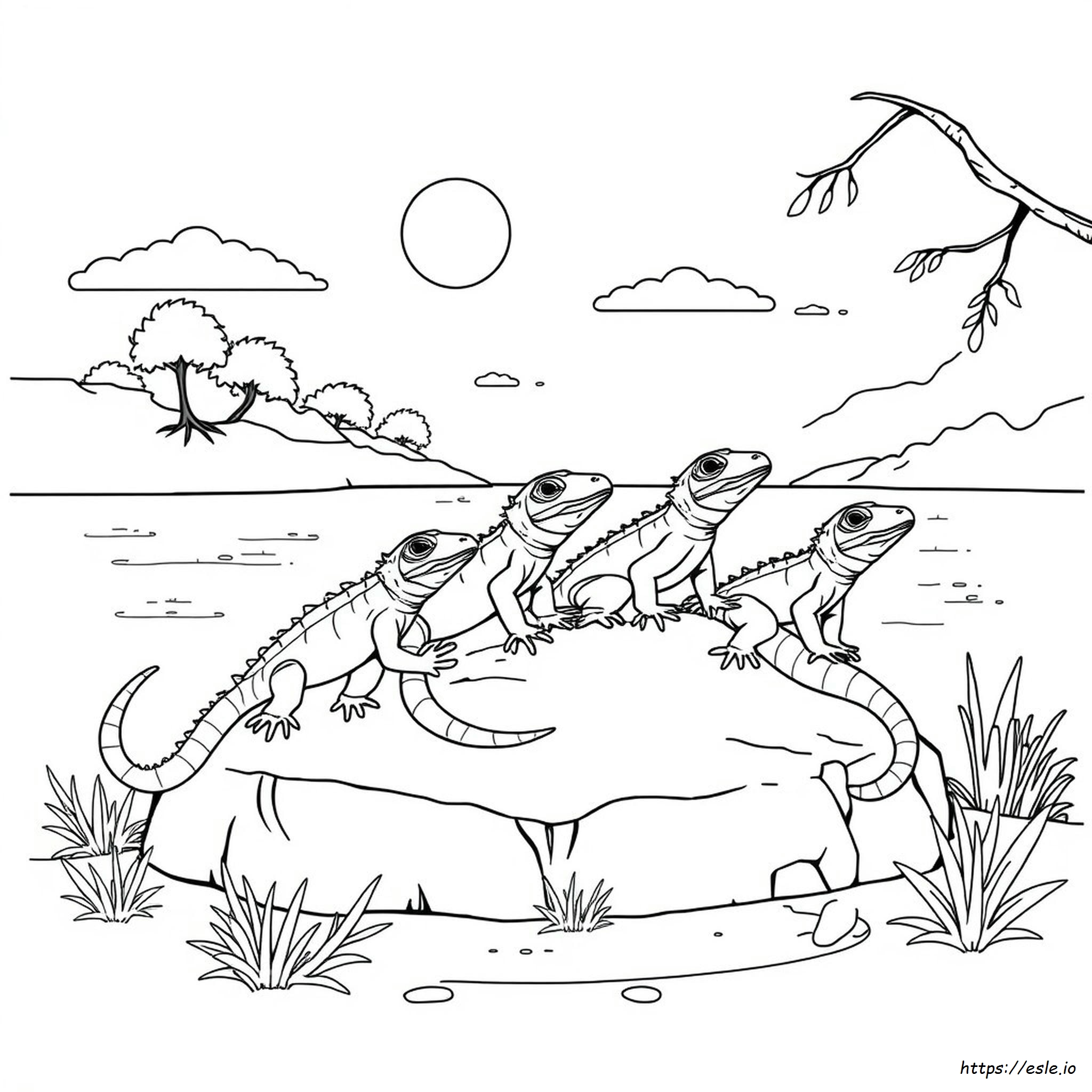 Reptiles Coloring Pages Pdf