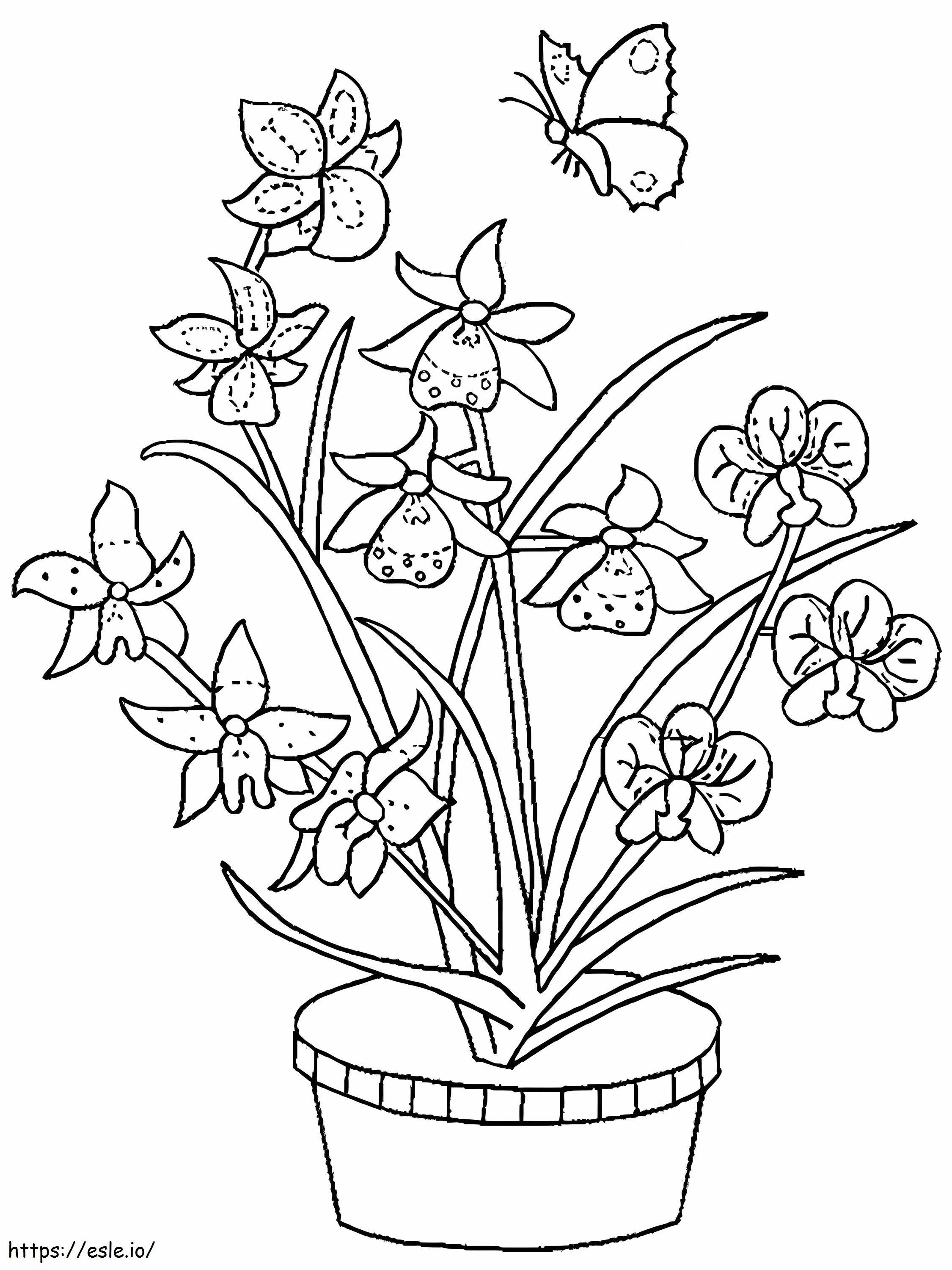 Orchid And A Butterfly coloring page