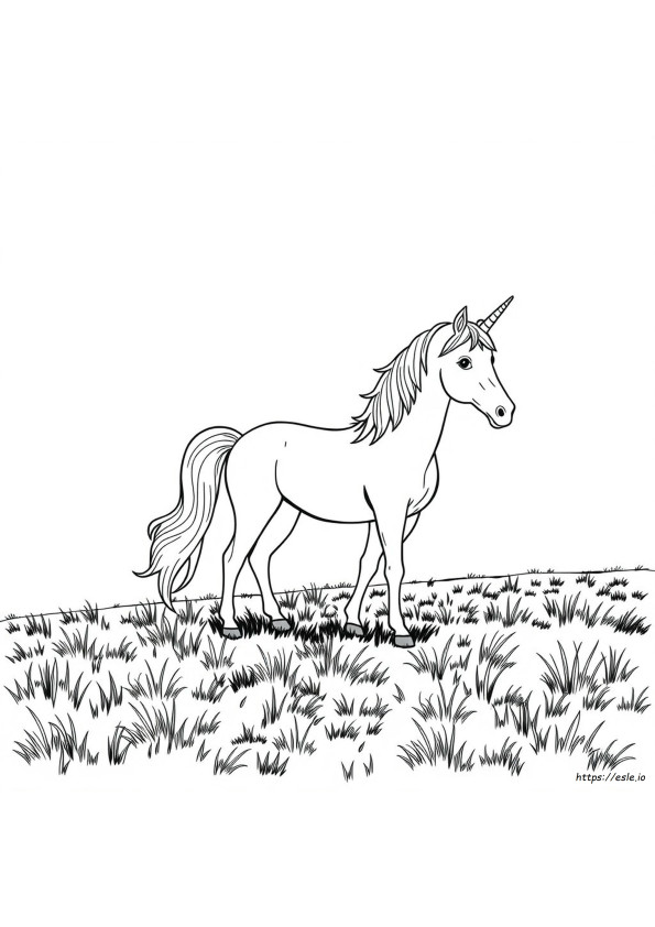 Kuda Cantik Gambar Mewarnai