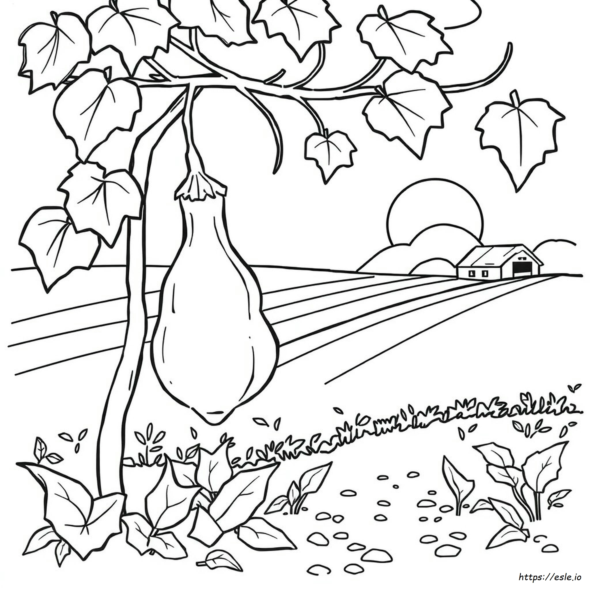Bottle Gourd Coloring Pages