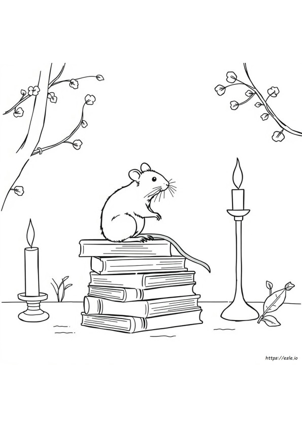 Colouring Rat