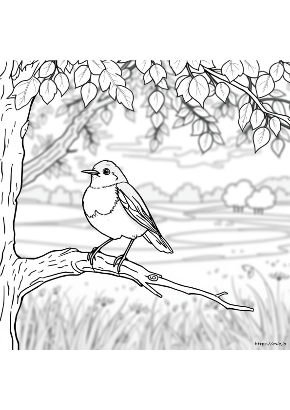 Gambar Mewarnai Burung Robin