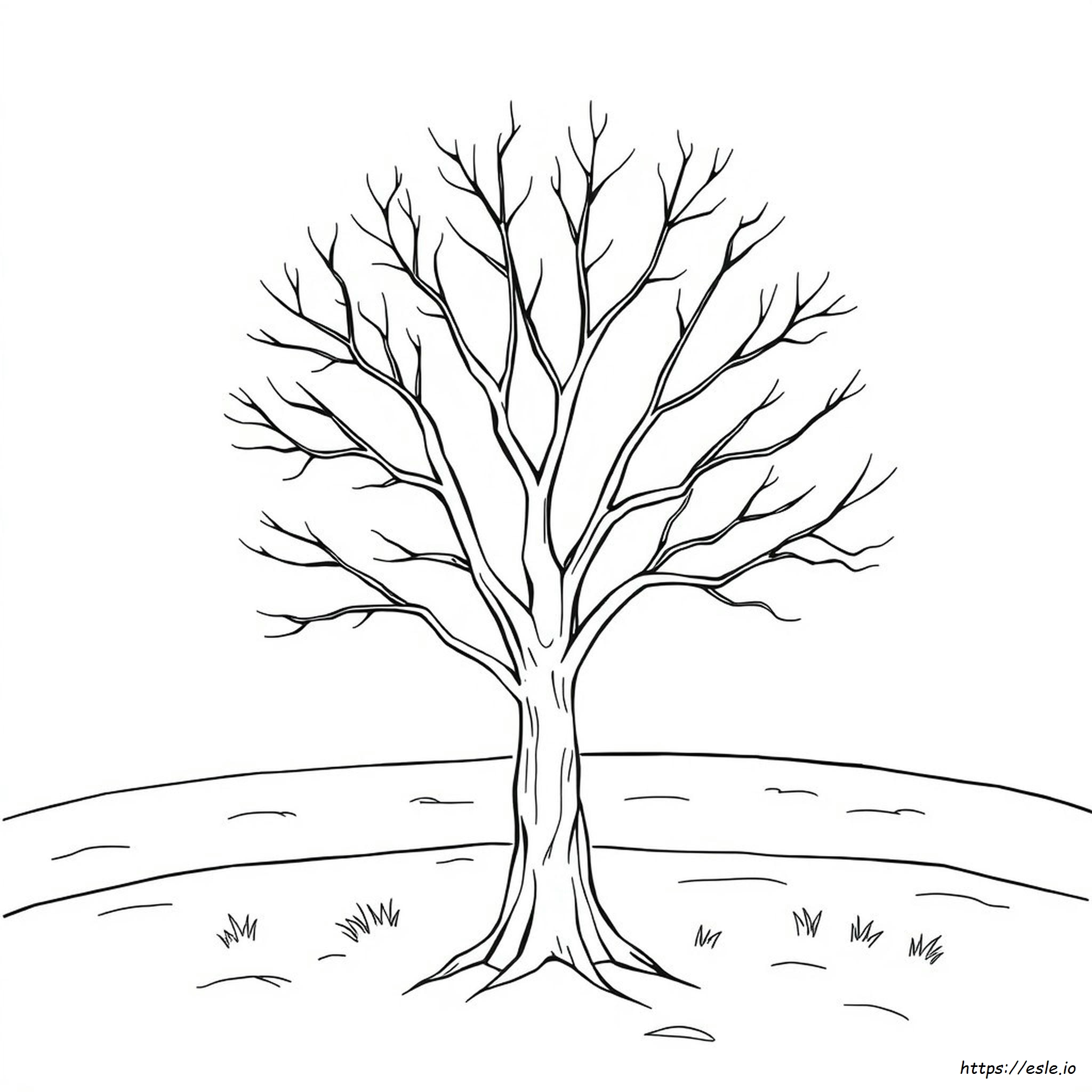 Tree Coloring Page No Leaves
