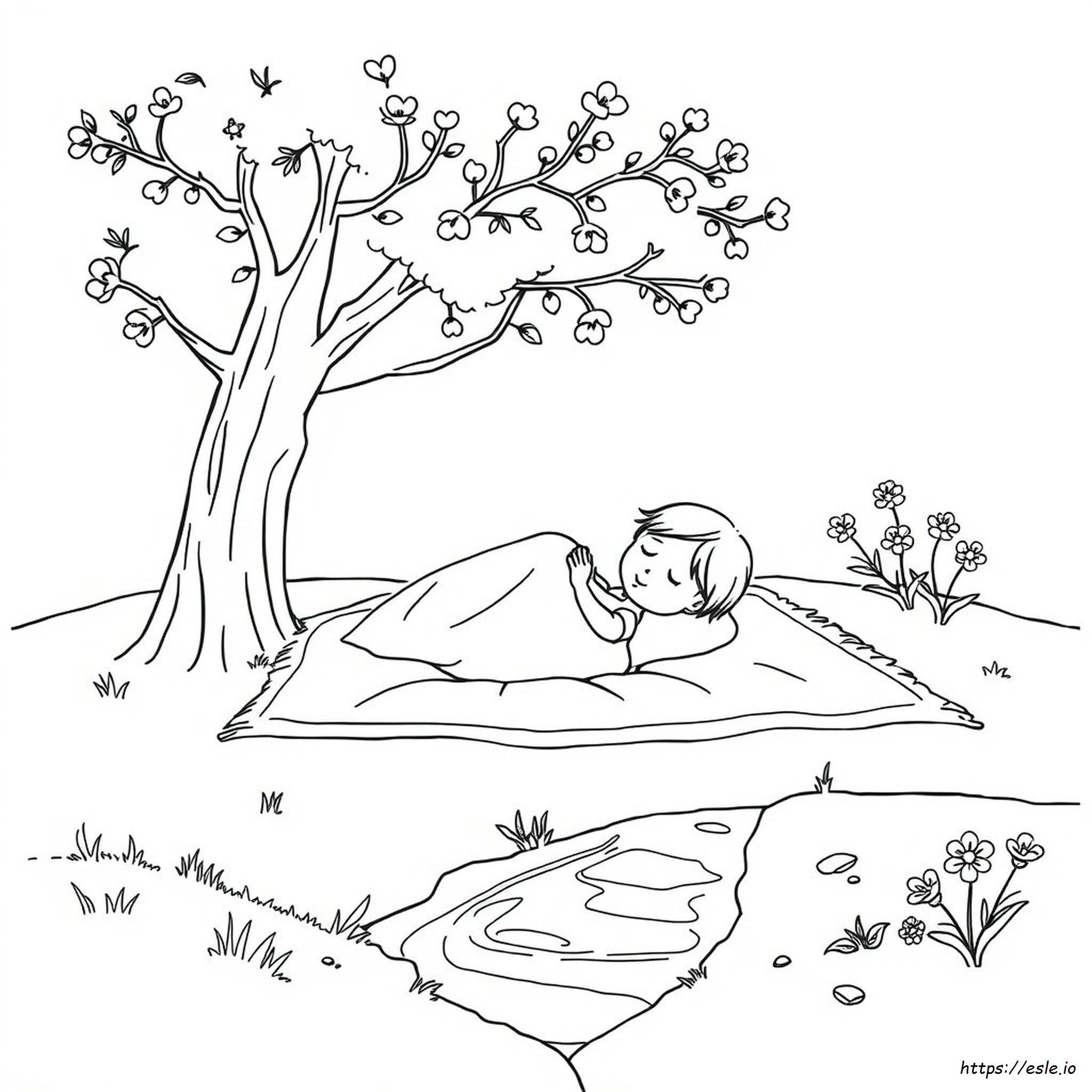 Página Para Colorear De Siesta