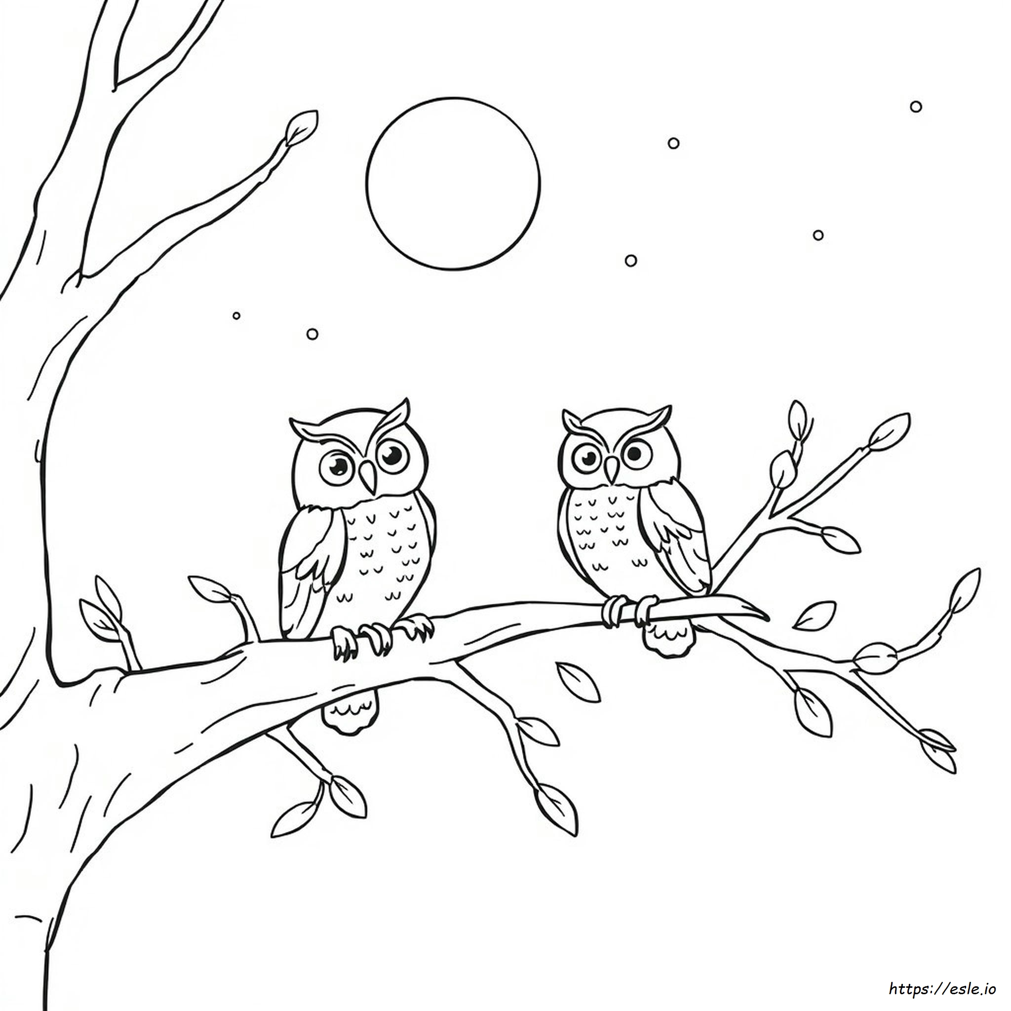 Adult Coloring Pages Owl