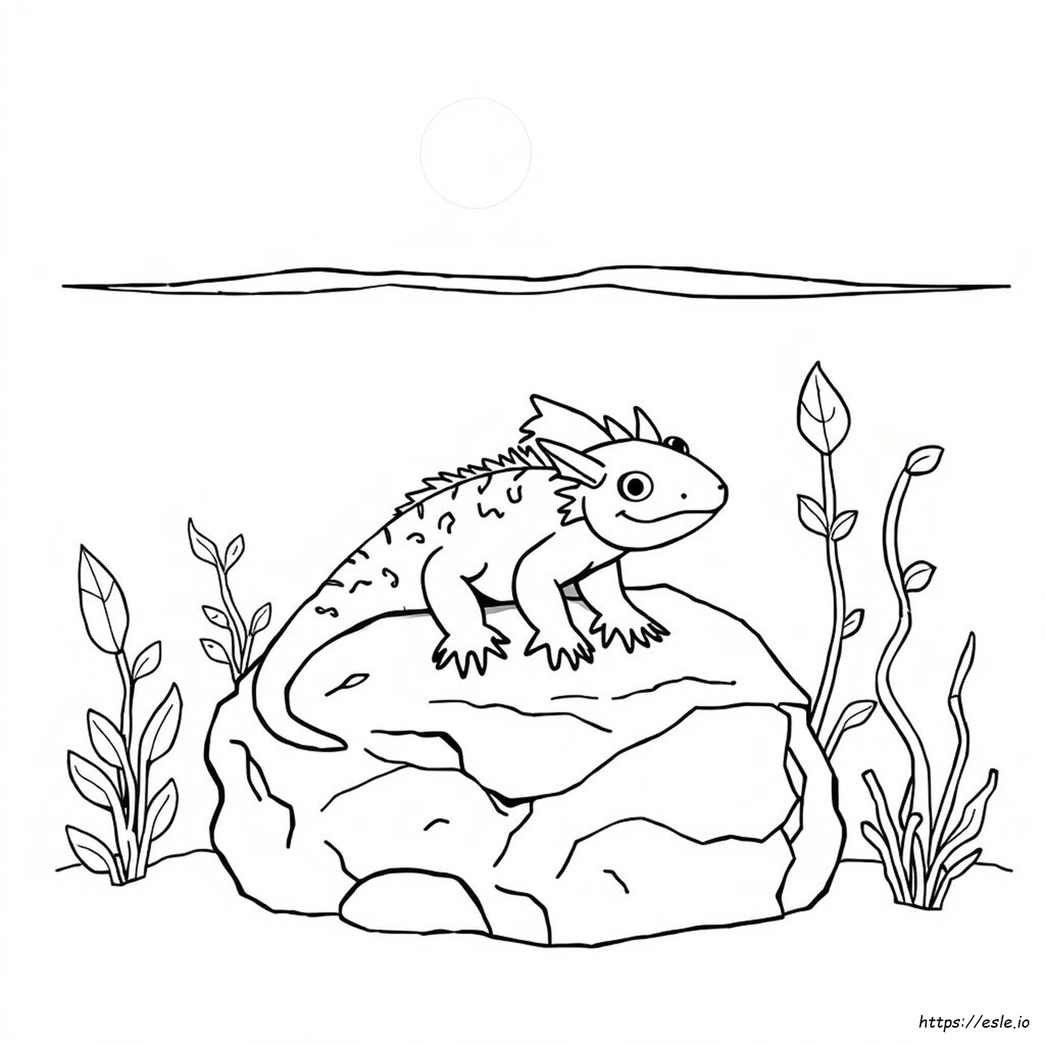 Axolotl Da Colorare E Stampare